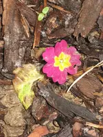 garten 09 007.webp