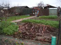 Dezember09 006.webp