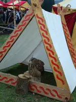 DSC01385.webp