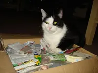 samenwichteln 09.webp