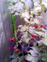 IMG_20210320_193311.webp