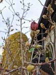 IMG_20210319_084742.jpg