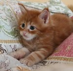 FB_IMG_1616317167953.jpg