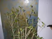19_03_2021 (23).webp