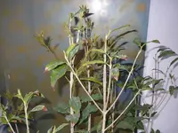 19_03_2021 (1).webp