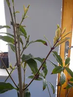 18_03_2021 (9).webp