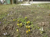 18_03_2021 (61).webp