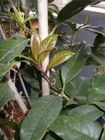 18_03_2021 (2).webp