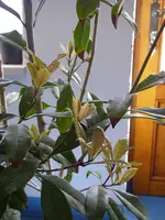 18_03_2021 (3).webp