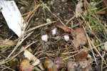 DSC09689.JPG