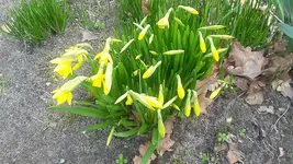 20210321_135654.webp