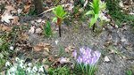 20210321_135709.jpg