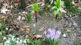 20210321_135709.webp