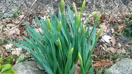 20210321_135724.webp