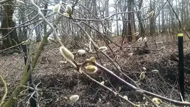 20210321_135746.webp