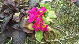 20210321_140055.webp