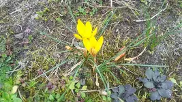 20210321_140548.webp