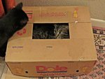 IMG_7457 v (2).JPG