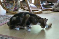 MVI_7500_Moment(4).webp