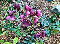 IMG_20210321_141539.webp