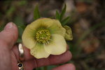 DSC09702.JPG