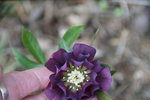DSC09705.JPG
