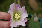 DSC09708.JPG