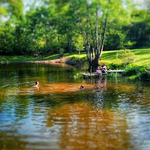 1616438517355-01.webp