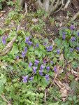 P1020990.JPG