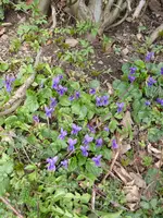 P1020990.webp