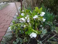 DSC01570.webp