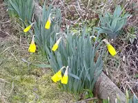 DSC01573.webp