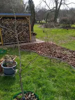 IMG_20210323_120129.webp