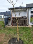 IMG_20210323_121635.jpg