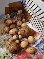 20210323_174114.webp