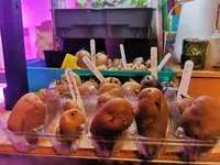 IMG_20210323_204758.webp