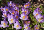 DSC00421.JPG