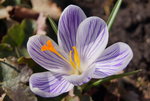 DSC00440.JPG