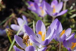 DSC00403.JPG