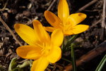 DSC00408.JPG