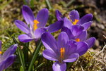 DSC00410.JPG
