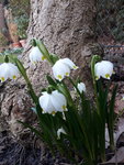 20210324_180218.jpg
