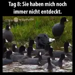 1616608925399.webp