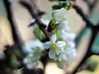 image001.webp