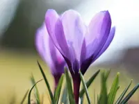 image004.webp