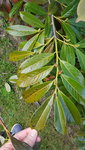 20210325_125536.jpg