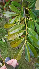 20210325_125536.webp