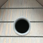Nistkasten für Blaumeisen...02.jpg