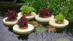 DSC03901.JPG