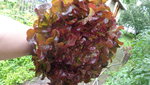 DSC04001.JPG